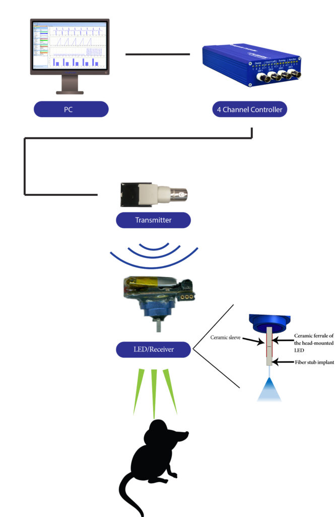 wireless optogenetic, plexon, helios