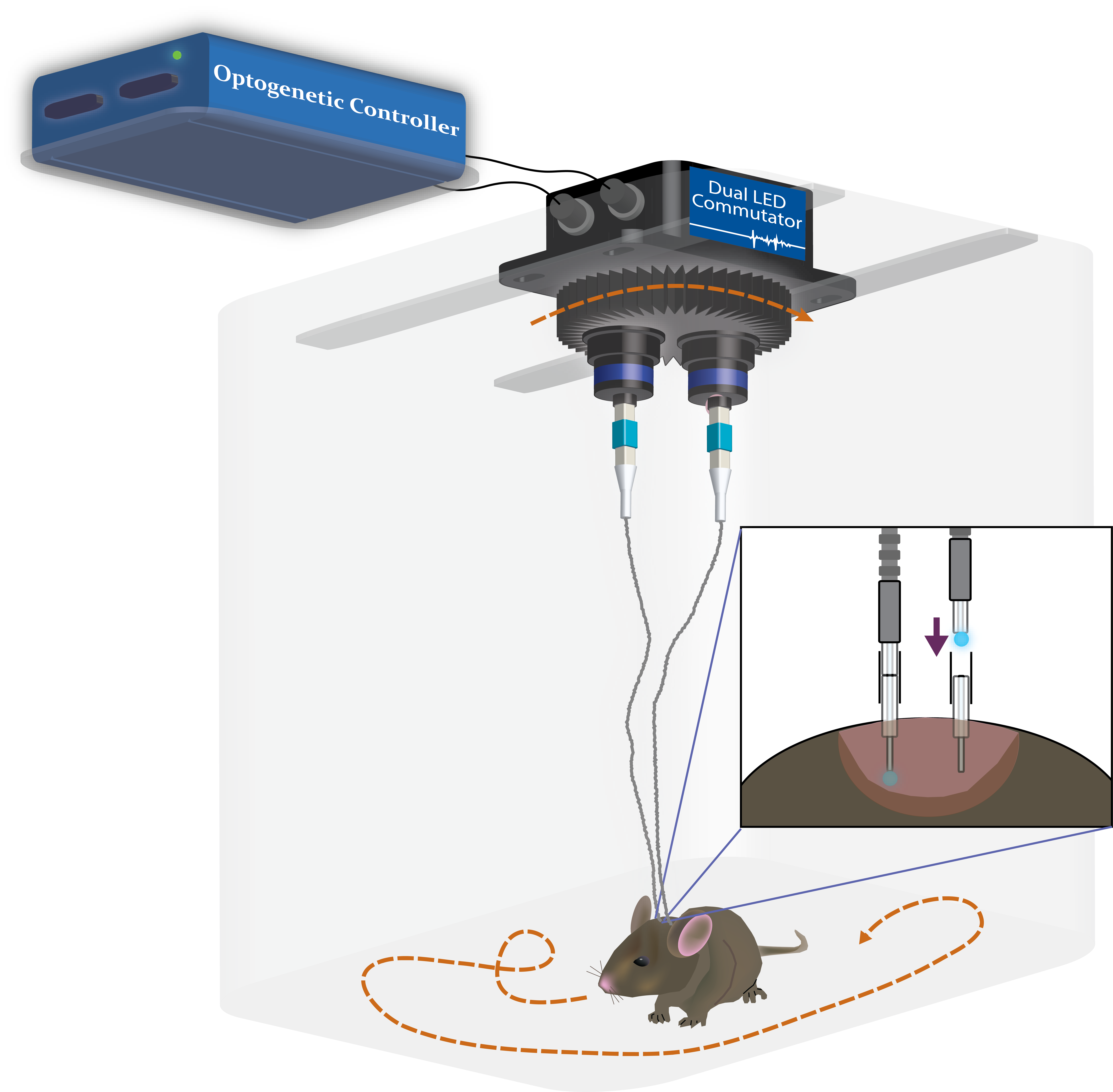Optogenetic stimulation equipment